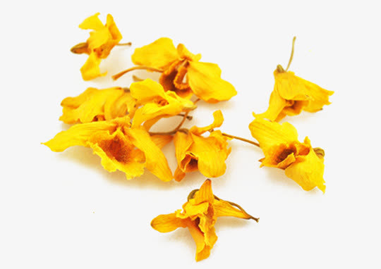 石斛干花瓣免抠