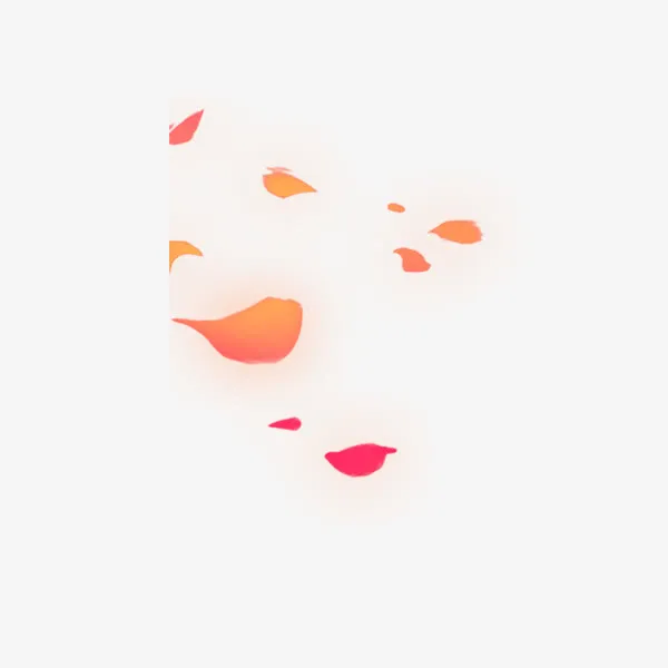 漂浮花瓣免抠