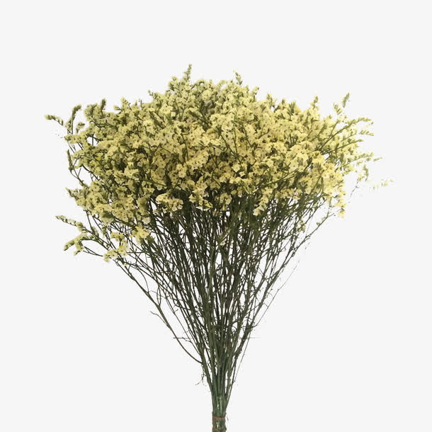 干花花束免抠