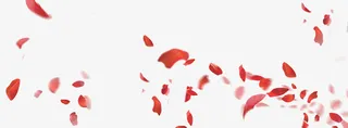 花瓣免抠