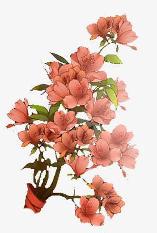 水彩红色桃花花枝免抠