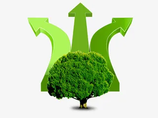 绿色树的箭头免抠