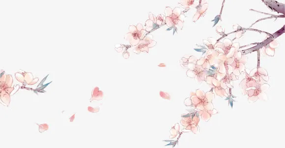 右边角 手绘花瓣png素材免抠