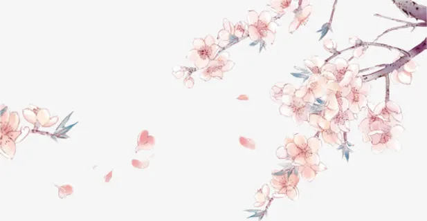 右边角 手绘花瓣png素材免抠 右边角 手绘花瓣png素材免抠