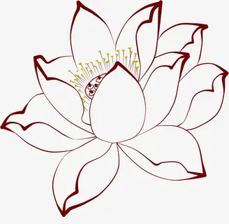 荷花免扣素材透明免抠