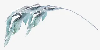 绿色树叶  中国风  家居免抠