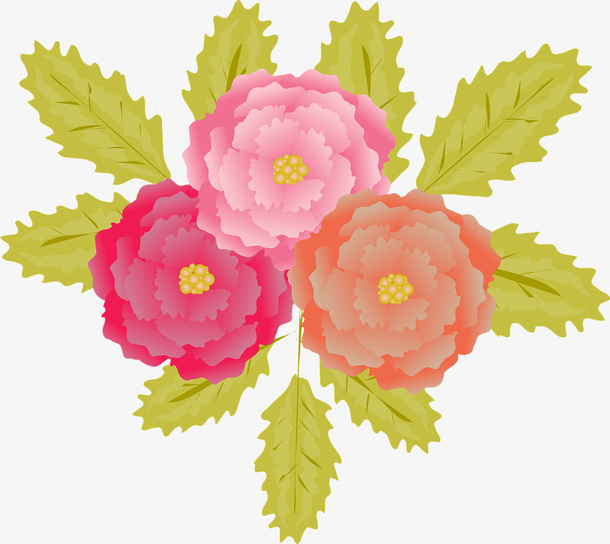 玫瑰插图免抠