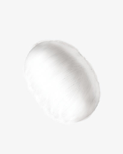 白色纺织蚕茧免抠