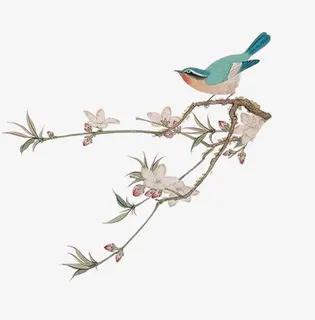中国风典雅手绘树枝花鸟免抠 中国风典雅手绘树枝花鸟免抠