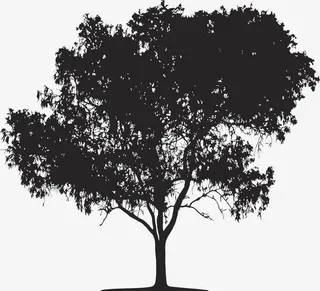 剪影树免抠