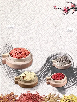 红色水墨风世界传统医药日中药药材宣传高清