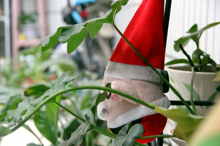 圣诞老人娃娃高清