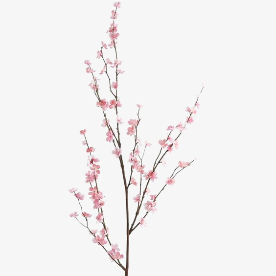桃花免抠