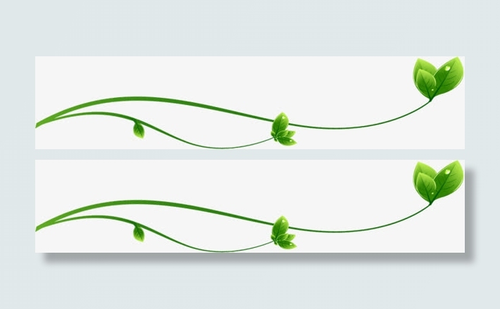 绿叶线条边框装饰免抠