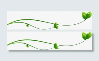 绿叶线条边框装饰免抠