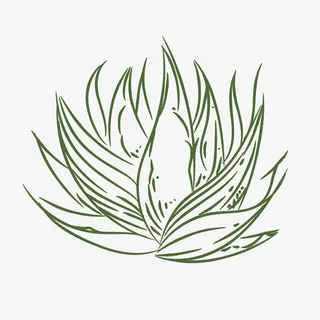 绿色卡通芦荟植物免抠