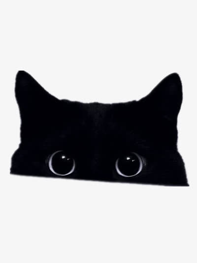 黑猫免抠