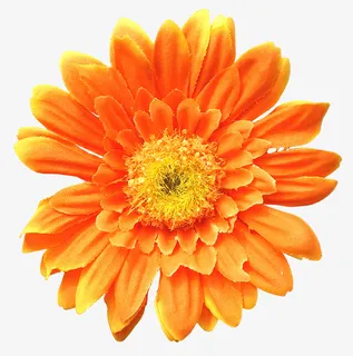 抽象花朵素材鲜花矢量素材免抠