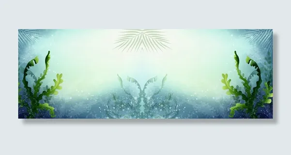 海底海藻高清 海底海藻高清
