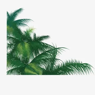 卡通夏日椰树枝免抠