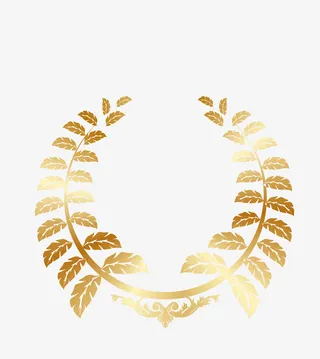 卡通精美金色对称树叶免抠