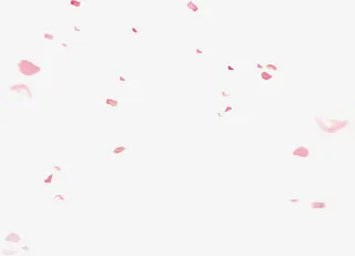唯美创意花瓣设计飘落免抠