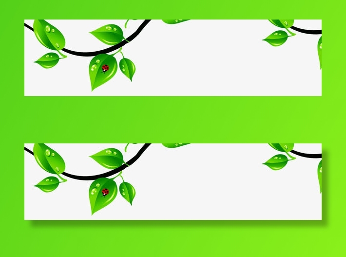 春天清新藤蔓枝条树叶免抠漂浮叶子元素