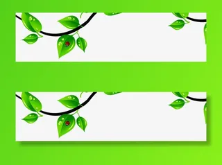 春天清新藤蔓枝条树叶免抠漂浮叶子元素