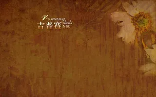 复古背景花朵不规则纹理文字效果