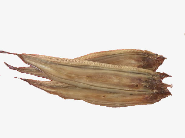 鳗鱼干免抠