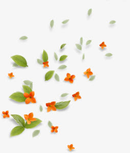 漂浮花瓣免抠