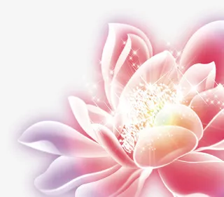 中秋的美丽荷花3免抠