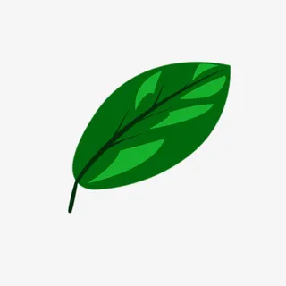 一片小小的叶子，发着光，长在树干上免抠