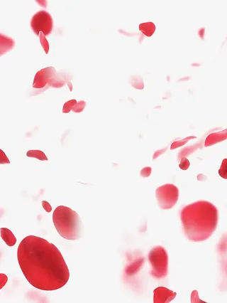 飘落的桃花免抠