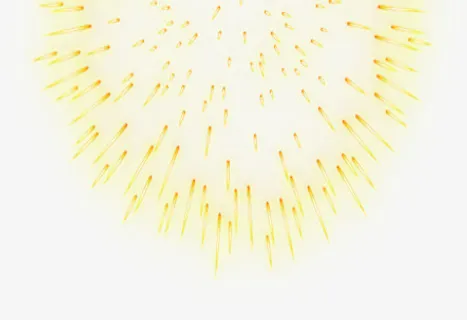 璀璨烟花欢度春节免抠