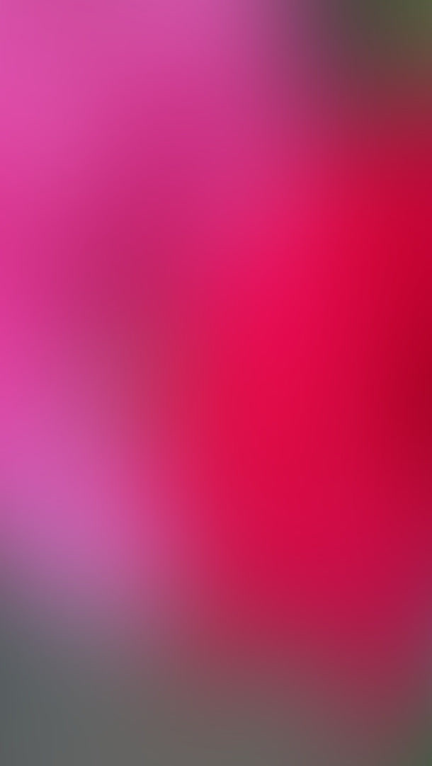 玫红渐变背景海报