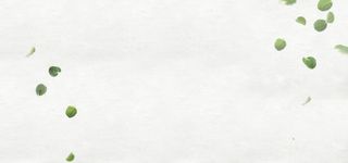 清新绿叶白色质感纹理背景高清