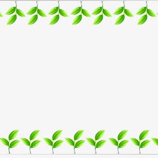 绿叶装饰边框花纹免抠