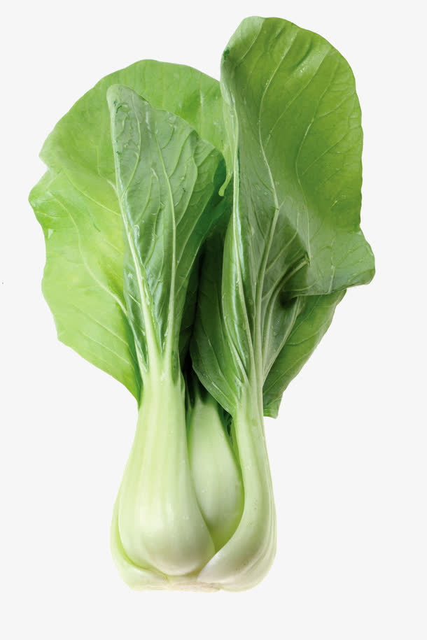 新鲜上海青免抠