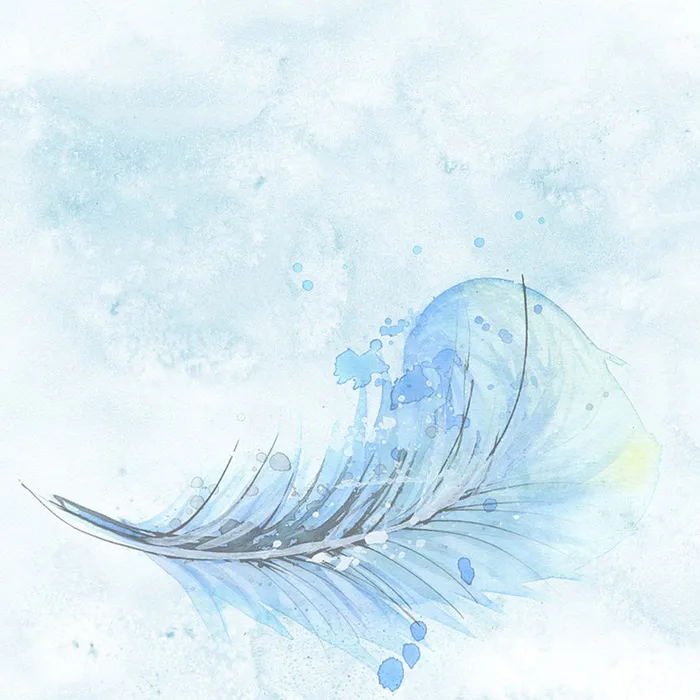 清新水彩浅蓝色羽毛背景高清