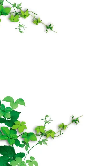 绿叶H5背景高清