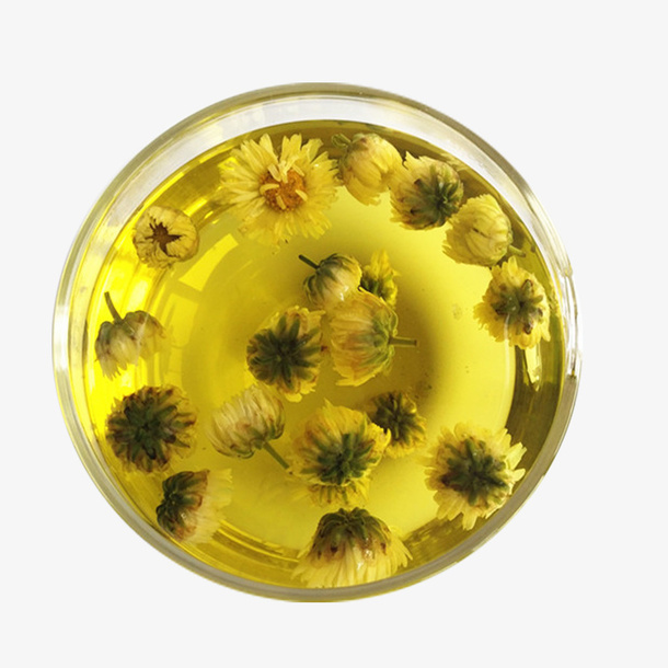 产品实物胎菊茶黄色茶水免抠