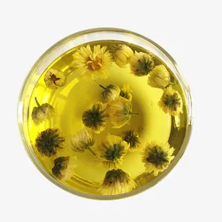 产品实物胎菊茶黄色茶水免抠