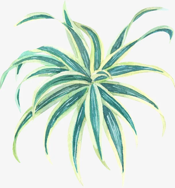 手绘水彩绿色植物小草免抠