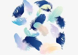 羽毛免抠
