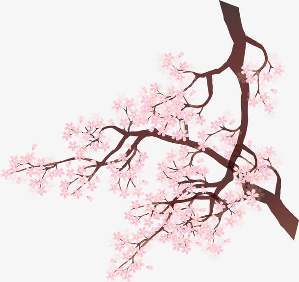 粉色的花免抠