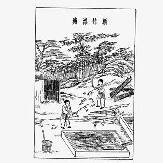 中国风竹子免抠