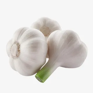 圆形大蒜免费下载免抠