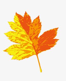 树叶免抠