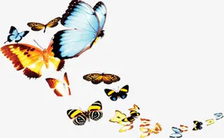 卡通唯美蝴蝶飞舞免抠